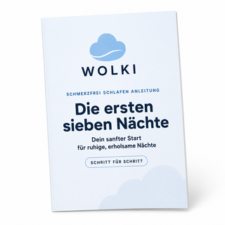 E-Book (PDF)